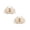 2PCS-White, variant on Women Straw Crossbody Bag,Straw Woven Purses with Chain,Beach Handbag for Women