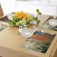 thumbnail image 4 of Ambesonne Rustic Place Mats Set of 4, Old French Wooden Door, Standard Size, Orange Green, 4 of 6