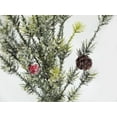 thumbnail image 2 of Admired by Nature ABN4C001-NTRL-2 Seasonal Berry Pine Cone Spray, 2 of 4
