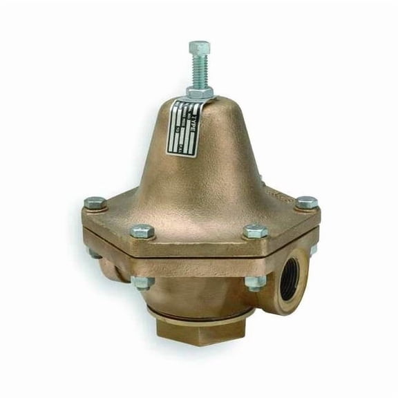 Cash Valve Pressure Regulator,1/2 In,10 to 50 psi BZCSSSZTS01AD2-0030