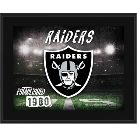 Oakland Raiders Nfl Hand Signed - Oakland Raiders 10.5