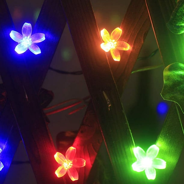 Guirlande lumineuse solaire de fleurs d'extérieur 23 pieds 50 LED étanche  lumières de Noël solaires 8 modes LED guirlandes lumineuses solaires de  jardin pour terrasse pelouse cour Halloween décoration de Noël  (multicolore) 