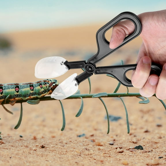 Soimiss 3pcs Insect Plastic Clip ABS Black Feeding Tool for Insect Breeders Cleaning