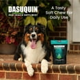 thumbnail image 4 of Nutramax Dasuquin for Small to Medium Dogs, Joint Health Supplement, Contains Glucosamine for Dogs, Plus Chondroitin, ASU and More, Supports Healthy Joints, Soft Chews, 84 Count, 4 of 11