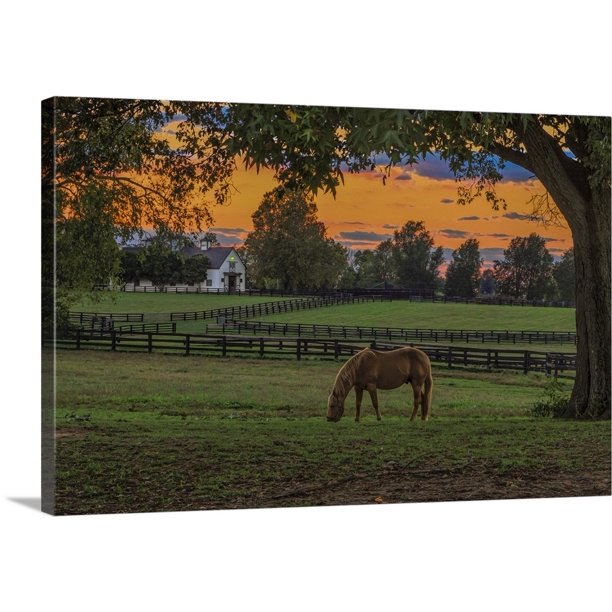 Great BIG Canvas "Horse Farm Sunset" Canvas Wall Art 24x16