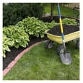 Fantastic Deal 12 Bare Roots Hosta Plants Mixed HeartShaped Hosta