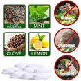 thumbnail image 3 of Keep Mice Out For Home Kitchen Farms Storehouse, Peppermint Oil For Mice And Vole Mouse Squirrel, 3 of 5