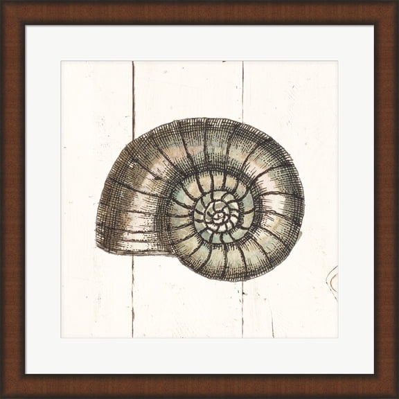 Shell Sketches I Shiplap by Wild Apple Portfolio, Framed Wall Art, 19.75W x 19.75H