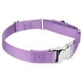thumbnail image 5 of Country Brook Petz® Lavender Heavyduty Nylon Martingale with Premium Buckle, Small, 5 of 6