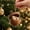 C, variant on Christmas Acorn Shaped Animal Ornament 2D Hanging Pendant Woodland Tree Decor Random Cord Design A