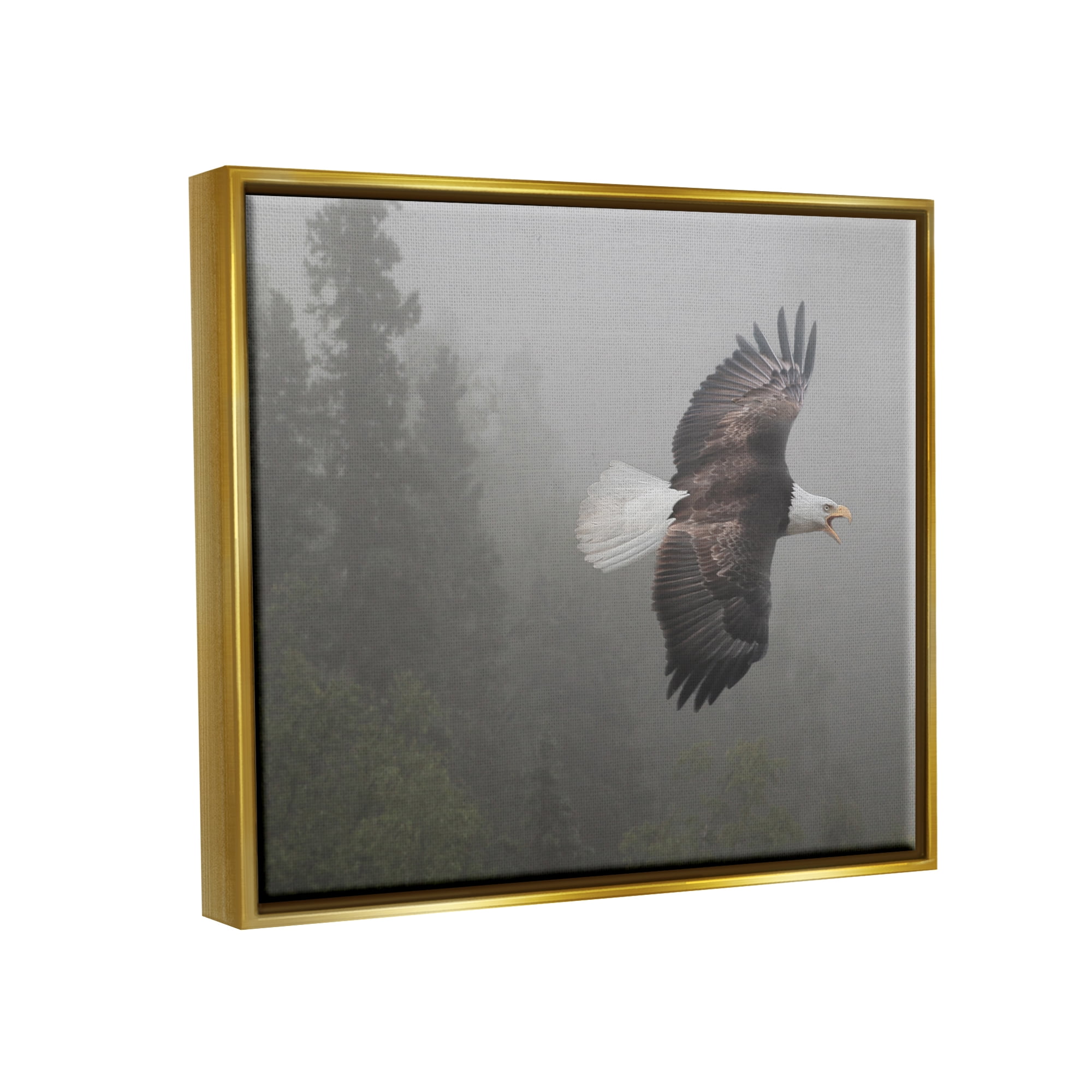 Stupell Industries Soaring Eagle in Nature Animals & Insects Photography Gold Floater Framed Art Print Wall Art, 31 x 25