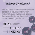 thumbnail image 3 of Hyalugen Water Toner 4.39 fl. oz. - Hydrating and Deep Cleansing, Anti-Aging Formula for Elasticity and Brightness, 3 of 9