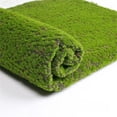 thumbnail image 4 of Cqxid Carpet Under $15 Simulation Bryophyte Wall Shop Window Landscaping False Bonsai Decoration False Immortal Multicolor, 4 of 9