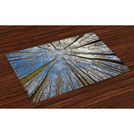 Nature Placemats Set Of 4 Skyward Image Of Leafless Twiggy Tree