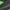 Grey 6/Black/Solar Lime, variant on Reebok Nano Play Slip-on Little Boy's Shoes