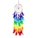 thumbnail image 1 of Wdftyju Tapiz de estilo bohemio, colgante de plumas coloridas, atrapasueños, decoración navideña Wdftyju 4gj6pc8ec7td9mj8, 1 of 9