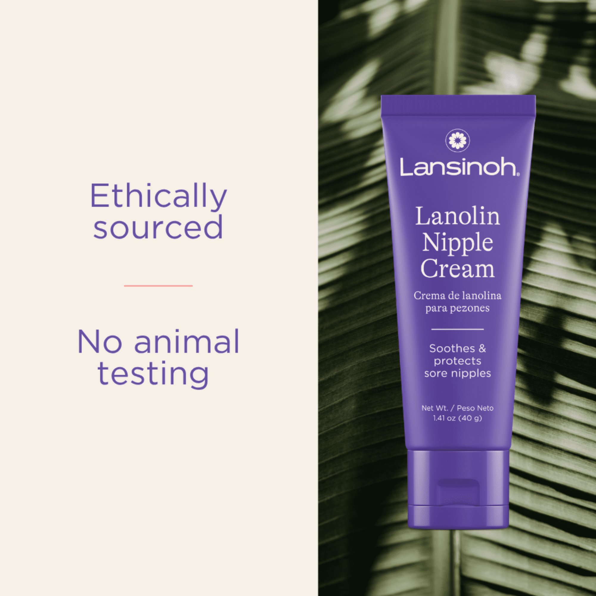 Lansinoh Lanolin Nipple Cream Safe for Breastfeeding Baby, 100% Natural, Breastfeeding Essentials, 1.41 oz