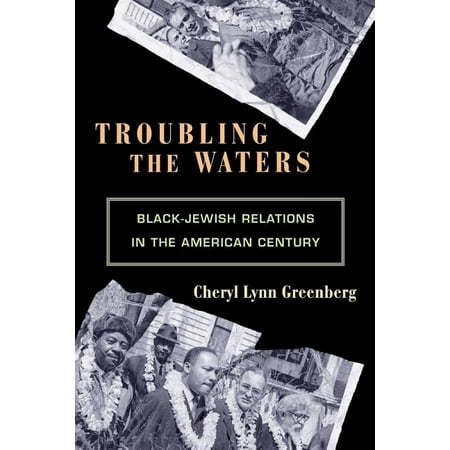 ISBN 9780691146164 product image for Politics and Society in Twentieth-Century America (Paperback): Troubling the Wat | upcitemdb.com