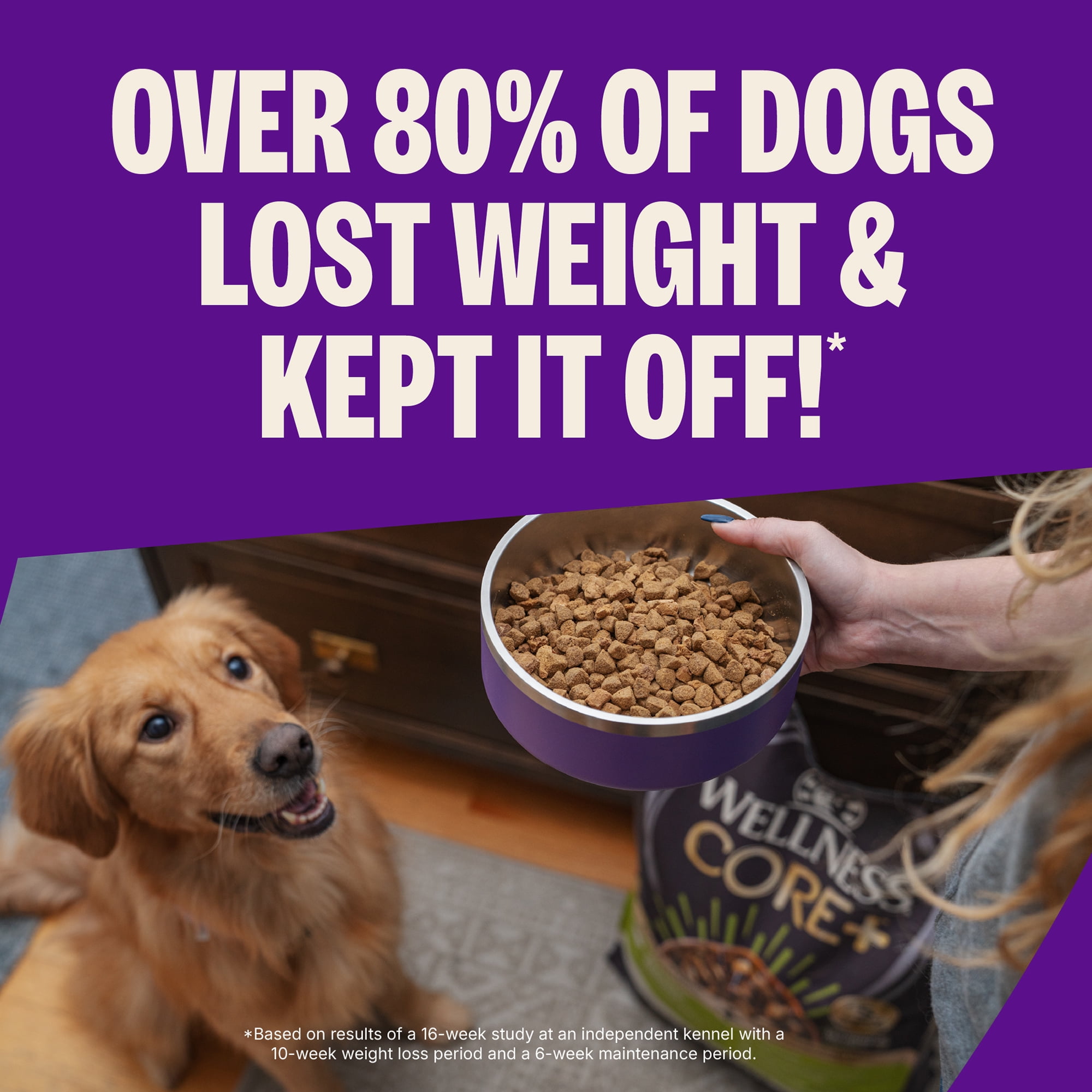 Wellness CORE+ Dry Dog Food with Freeze Dried Pieces, Grain Free, High Protein, Natural, Healthy Weight Turkey & Chicken Recipe, (18-Pound Bag)