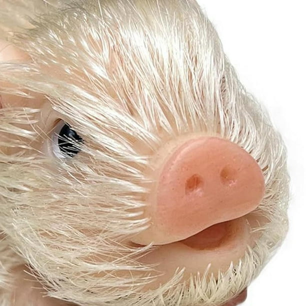 no.277 賑やかなバルーンとlittle pig Jellycat little pig – Dilly