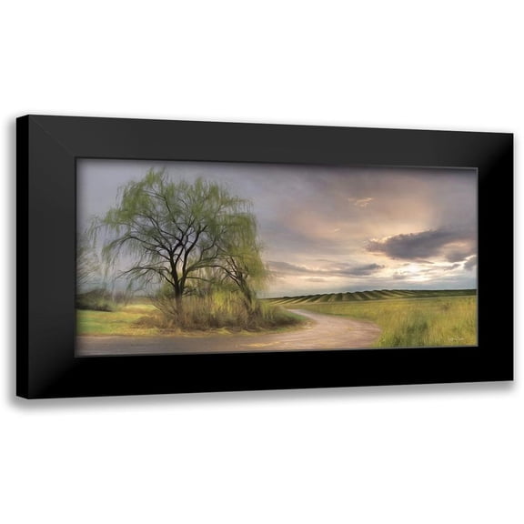 Deiter, Lori 14x9 Black Modern Framed Museum Art Print Titled - Willow Lane