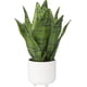 thumbnail image 1 of Planta de serpiente falsa Planta de serpiente artificial de 14 "Planta de serpiente artificial con maceta de cerámica blanca Planta de Sansevieria Perfecta para la casa Sala de estar moderna Ofic, 1 of 5