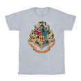 thumbnail image 1 of Harry Potter Boys Hogwarts Crest Gold Ink T-Shirt, 1 of 4
