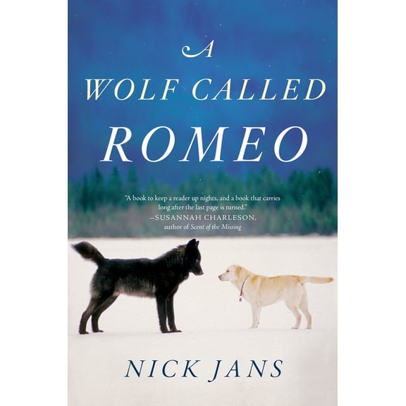 A Wolf Called Romeo, (Paperback)