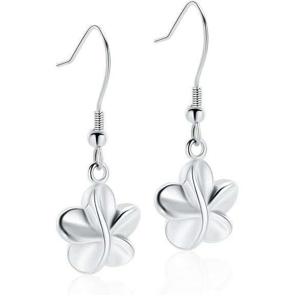 Tiny Crystal / Heart / Teardrop Stainless Steel Cremation Earring for Women Keepsake Memorial Urn Jewelry for Ashes of Loved Ones