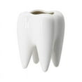 thumbnail image 1 of 1pcs Tooth Shaped Ceramic Flowerpot Furnishings Plant Pot Vase Nursery D3d0 Cactus Flower Cu Table Basin, 1 of 8