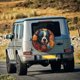 thumbnail image 5 of Balery Cute Colorful Flower French Bulldog Cubiertas para Neumáticos - Protector Resistente para Neumáticos de Camioneta, SUV, Remolque, Camper y RV-14 inch, 5 of 6