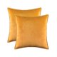 thumbnail image 1 of Cterwk - Juego de 2 fundas de cojín de terciopelo suave con cremallera, decorativas, cuadradas, para dormitorio, coche, sofá, 45,7 x 45,7 cm, 1 of 7