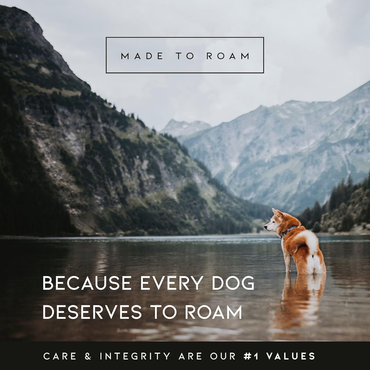 Made To Roam Premium Explorer Harness - Y-Shaped Dog Harness with Adjustable Durable Nylon, Soft Padding, Metal Buckles and Leather Handle for Small, Medium, Large Dogs (Arizona Heartbeat, Size 6)