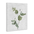 thumbnail image 4 of Stupell Industries Soft Country Botanical Botanical & Floral Painting Gallery Wrapped Canvas Art Print Wall Art, 16 x 20, 4 of 8