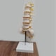 thumbnail image 5 of Teaching Equipment Model 5-Segment Lumbar Spine with Sacral Accessory Orthopedic Teaching Display Teaching Aids, 5 of 5