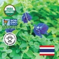 thumbnail image 5 of Incas 100% Usda Organic Butterfly Pea Flower 4.41 Oz (375+ Cups) Direct From Source Thailand Non Gmo Verified Dried Caffeine Free Gluten Free Vegan Rich In Antioxidants Free Ebook, 5 of 7