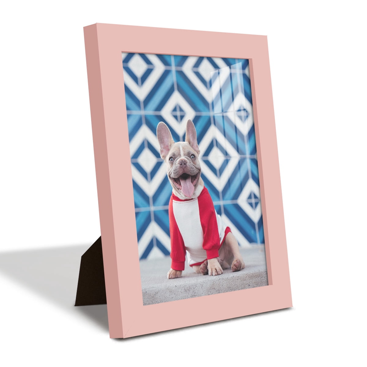 Modern 6 in. x 8 in. Pink Picture Frame (Set of 4)
