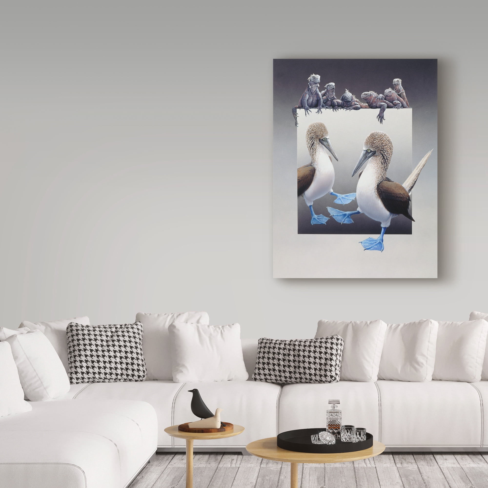 Trademark Fine Art 'Blue Footed Boobies' Canvas Art by Harro Maass