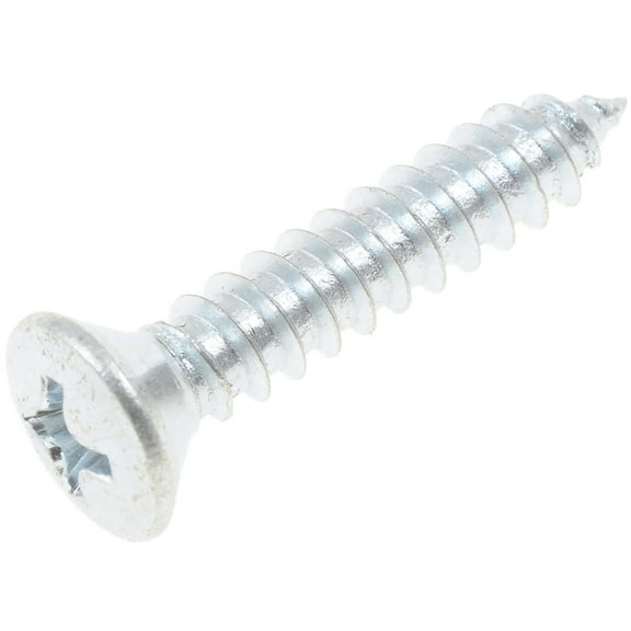 Dorman 360-019 Screw Chrome (Pack of 100)