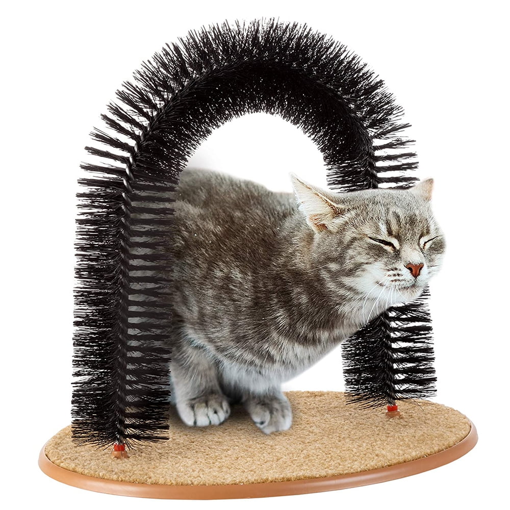 cat bristle