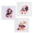 thumbnail image 1 of 3pcs Set de Pintura al de Impresión de Perrito Decoración de Oficina 30x30cm 3 paneles Macarena Pintura al Óleo de lienzo, 1 of 8