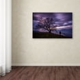 thumbnail image 3 of Mathieu Rivrin 'The Tree of Love Grenoble' Canvas Art, 3 of 4