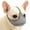 Gray, variant on Colenumone Short Snout Muzzle, 3D Breathable Air Mesh Dog Muzzle with Mouth Opening & Enlarged Eye Holes, Allows Panting Drinking Feeding, for French Bulldog Pug Shih Tzu English Bulldog