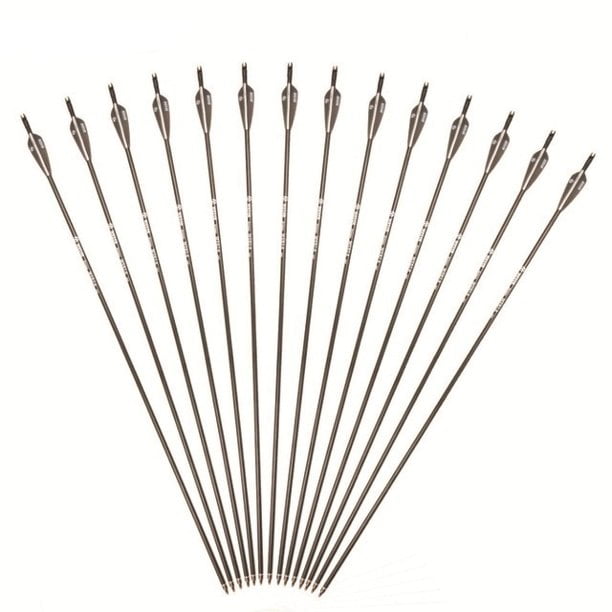 US 6Pcs 30" Carbon Shaft Archery Arrows SP340 Replaceable Tips Target Hunting 