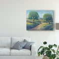 thumbnail image 3 of Trademark Fine Art 'Country Sentrees I' Canvas Art by Tim OToole, 3 of 4