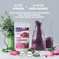 thumbnail image 2 of LOOV Organic Wild Cranberry Powder - 18-Day Supply - No Added Sugar, 2 of 9