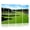 Color 3, variant on 8 Pack Art Acoustic Panels Sound Absorbing Tranquil Golf Course Green Scenic Trees Decorative Soundproof Wall Panels Self Adhesive for Nursery Game Room Bedroom 48"x32"