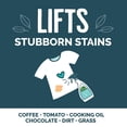thumbnail image 4 of 16 fl oz Free & Clear Aluminum-Free Unscented Laundry Stain Remover Spray, 4 of 4