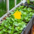 thumbnail image 4 of 5Pcs Fly Catcher Sticky Double-sided Strong Stickiness Yellow Butterfly-shaped Fly Trap Aphids Paper Sticky Board Garden Supplies-H,Yellow, 4 of 8