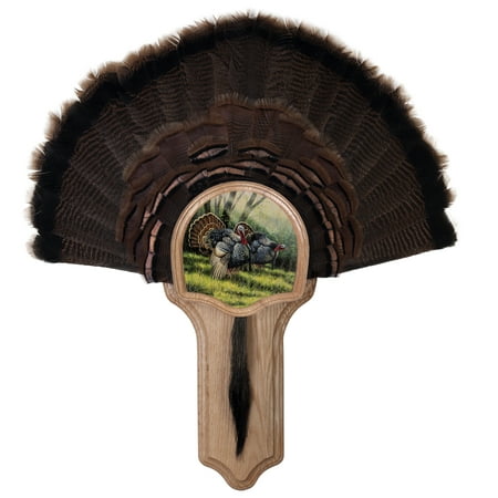 Spring Kit Rubber - Walnut Hollow Country Deluxe Turkey Fan Kit, Oak Featuring Spring Strut Image